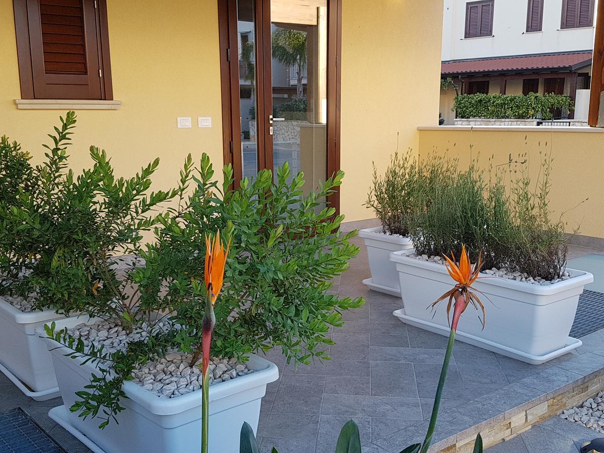B&B Aloe Comfort Rooms San Vito Lo Capo Exterior foto